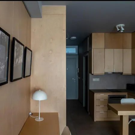 Downtown Photographer's Apartman *